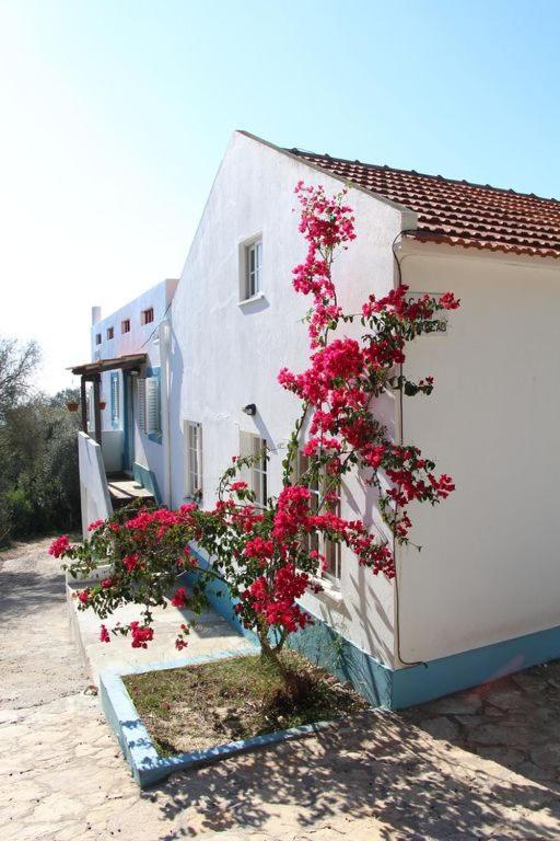 Casa Do Avo Teixeira Villa Sesimbra Exterior photo