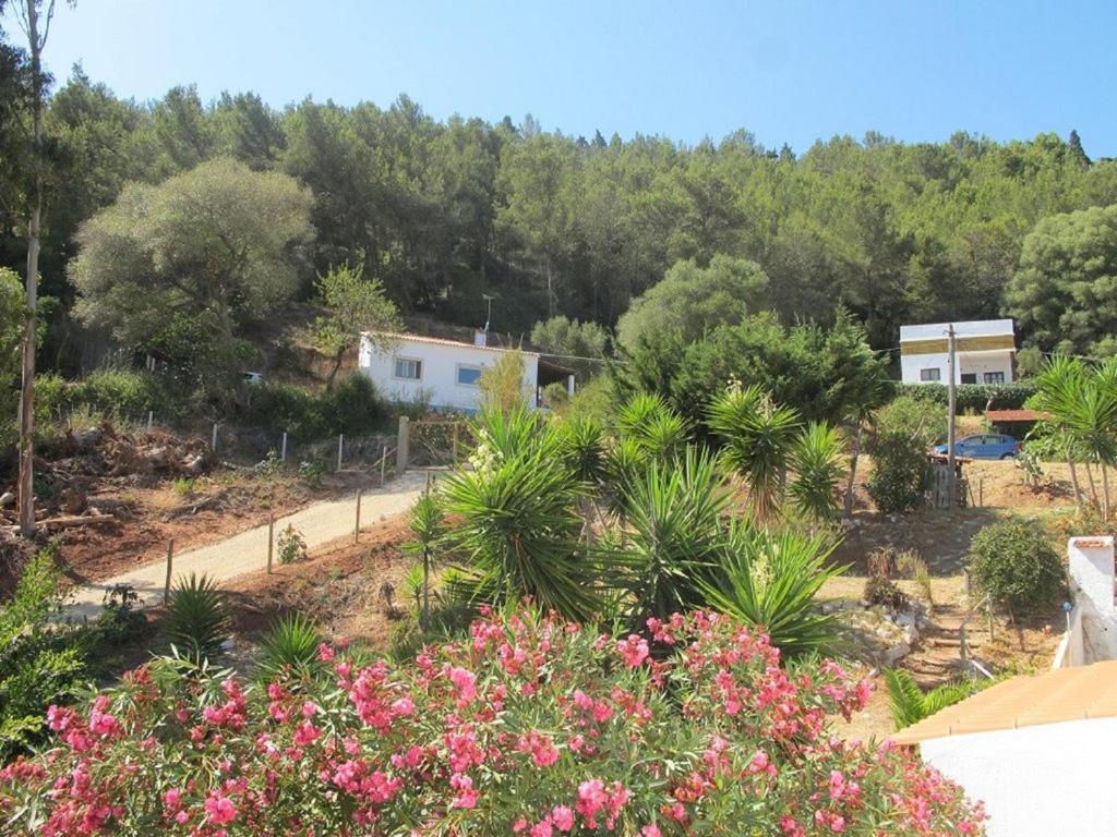 Casa Do Avo Teixeira Villa Sesimbra Exterior photo